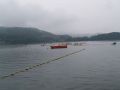 tn_p8114239.jpg