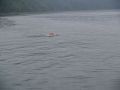 tn_p8114242.jpg