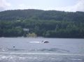 dsc01836.jpg