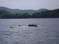 dsc01849.jpg