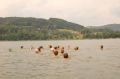 tn_dsc_1210.jpg