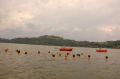 tn_dsc_1217.jpg