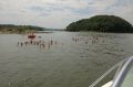 tn_dsc_1286.jpg