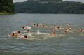 tn_dsc_1323.jpg
