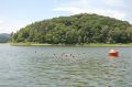 tn_dsc_1329.jpg