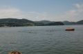tn_dsc_1334.jpg