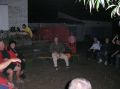 tn_tama-2005-024.jpg