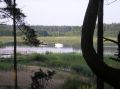 tn_tama-2005-053.jpg