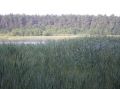 tn_tama-2005-054.jpg
