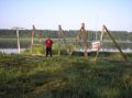 tn_tama-2005-064.jpg