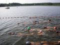tn_tama-2005-081.jpg