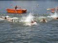 tn_tama-2005-134.jpg