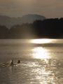 tn_dsc01511.jpg