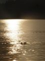 tn_dsc01513.jpg