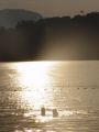 tn_dsc01514.jpg