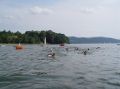 tn_dsc01546.jpg