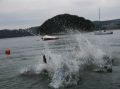tn_pic04563.jpg