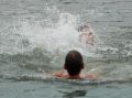 tn_pic04684.jpg