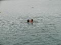 tn_pic04687.jpg