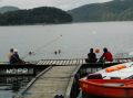 tn_pic04693.jpg