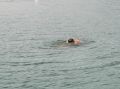 tn_pic04730.jpg