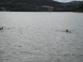 tn_p1010074.jpg