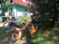 tn_cimg8310.jpg