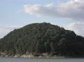 tn_cimg8442.jpg