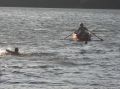 tn_cimg8450.jpg