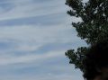 tn_img_0349.jpg