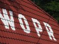 tn_img_0366.jpg