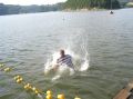 tn_img_0480.jpg