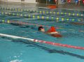 tn_pic03042.jpg