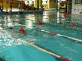 tn_pic03082.jpg